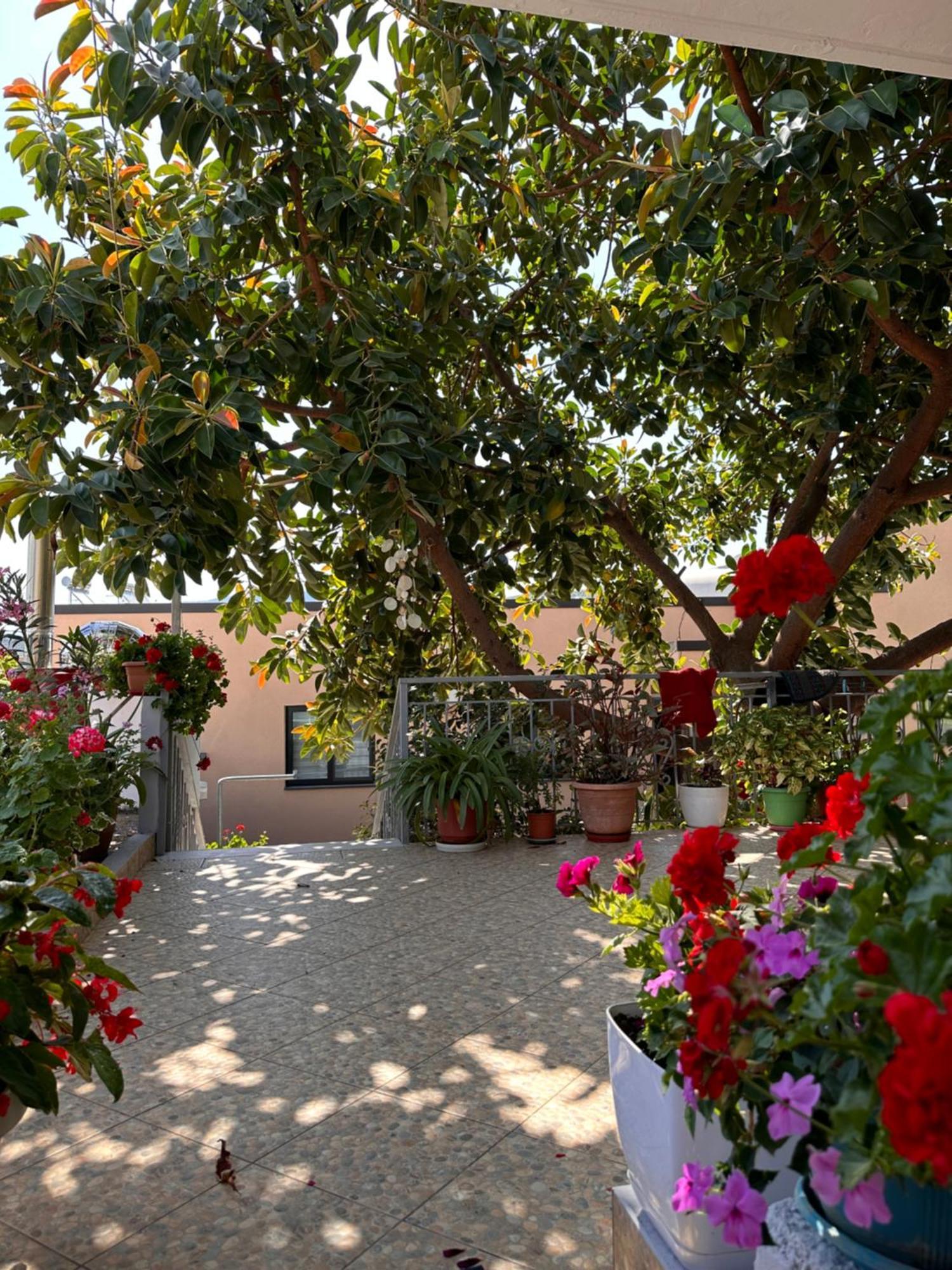 Albi'S Guesthouse Ksamil Kültér fotó